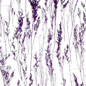 Meyi Purple Lavender/Lavandă purpurie