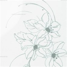 IRIS Декоративные плёнки IRIS 7117A White with grey flower