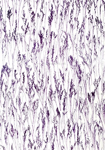 MeyiДекоакрил (акриловые панели)Декоакрил Пурпурная лаванда
