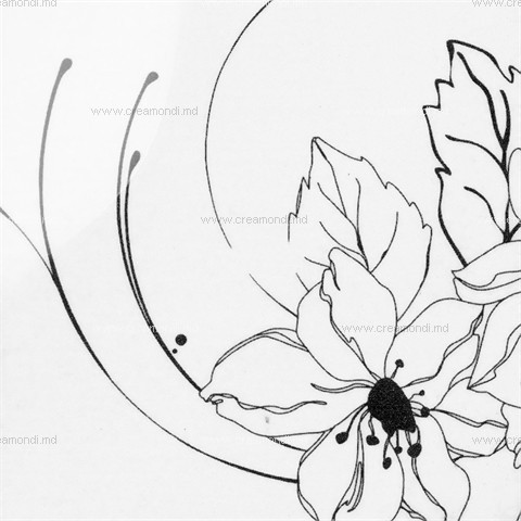 IRISДекоративные плёнки IRIS7118A White with black flower