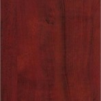  Materials: Chipboard Chipboard Pennsylvania cherry tree 5738