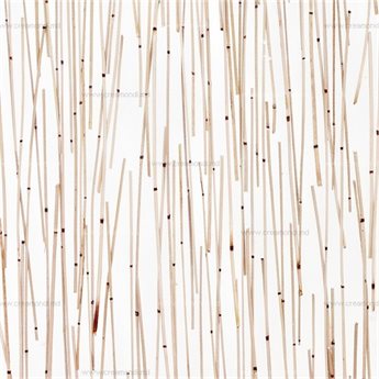 Mini bamboo/Молодой бамбук